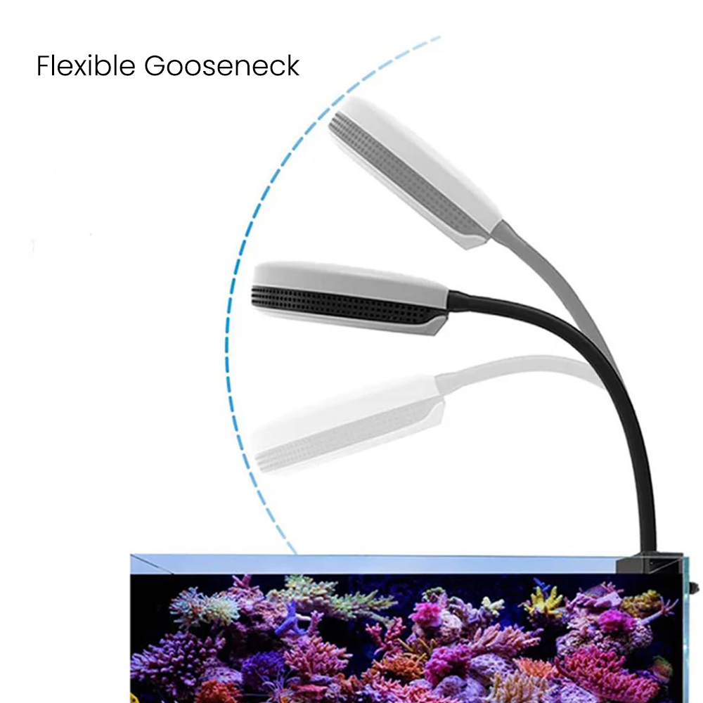Lampa LED do akwarium Spectra  – Reef Lighting recenzja i cena