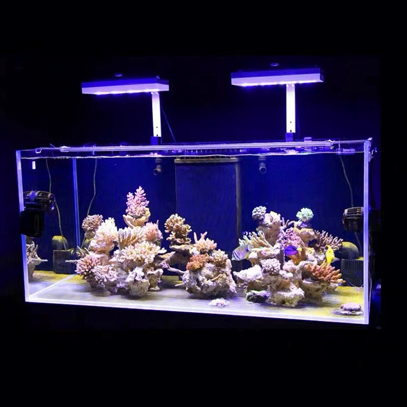 Aqua Illumination AI Hydra 32H – Reef Lighting recenzja i cena