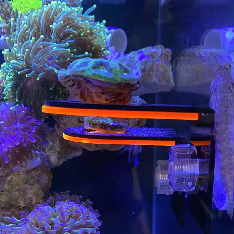 Akrylowy uchwyt do uprawy fluo – Marine Coral recenzja i cena