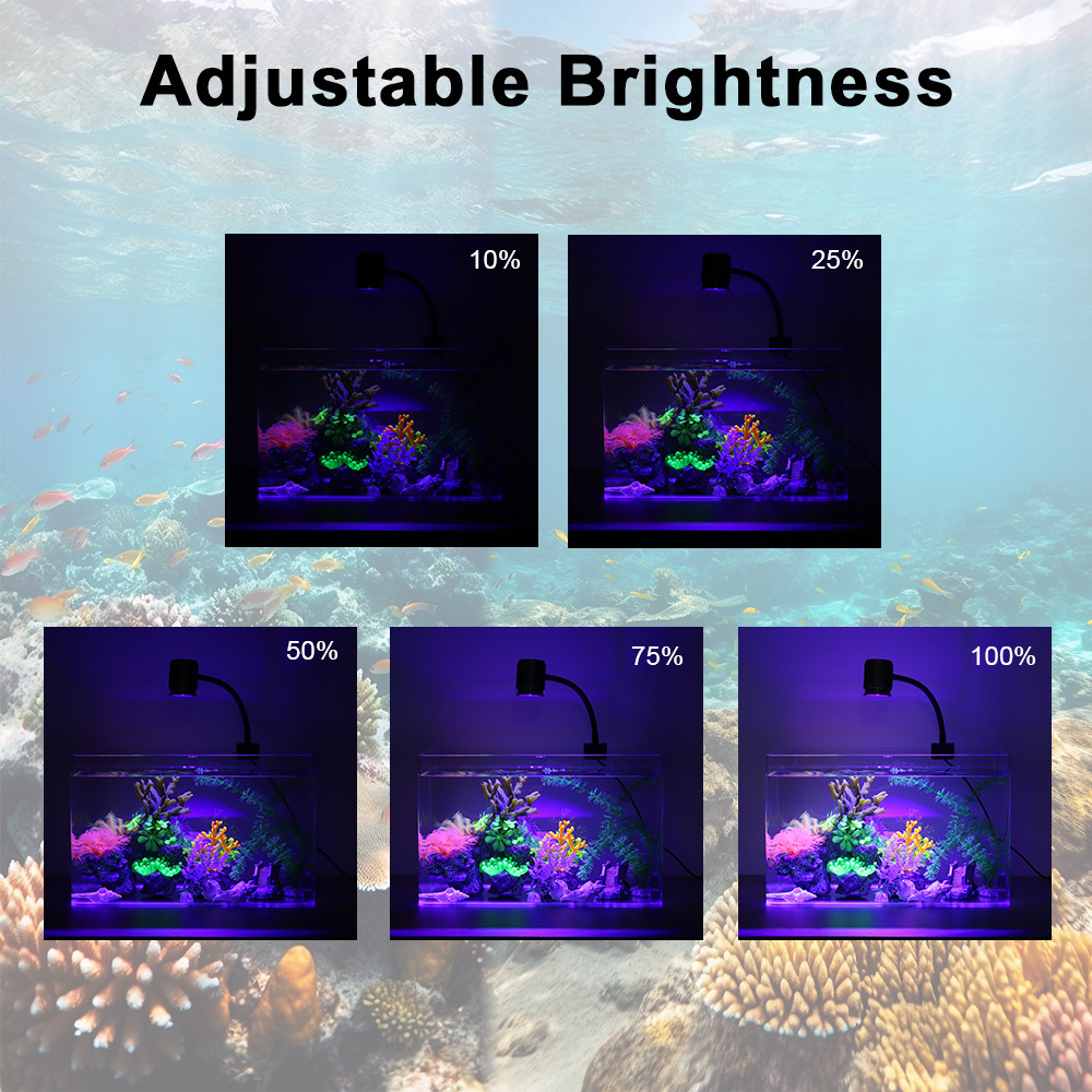 Lampa LED do akwarium, pełne s – Reef Lighting recenzja i cena